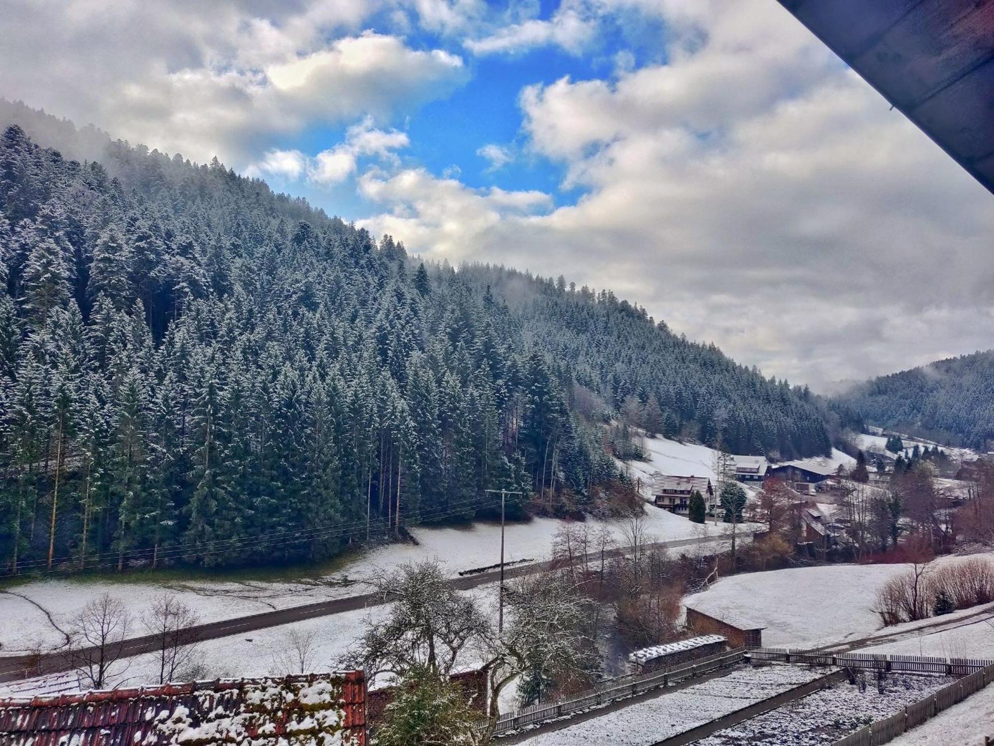 Ferienwohnungen Vogt'S Libding Bad Rippoldsau-Schapbach Exteriör bild